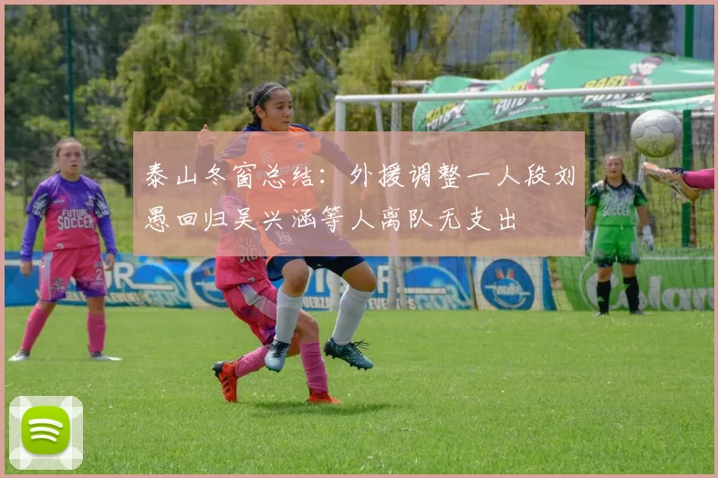 泰山冬窗总结：外援调整一人段刘愚回归吴兴涵等人离队无支出