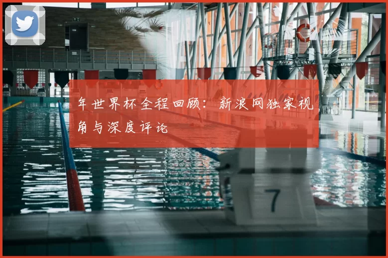 年世界杯全程回顾:新浪网独家视角与深度评论