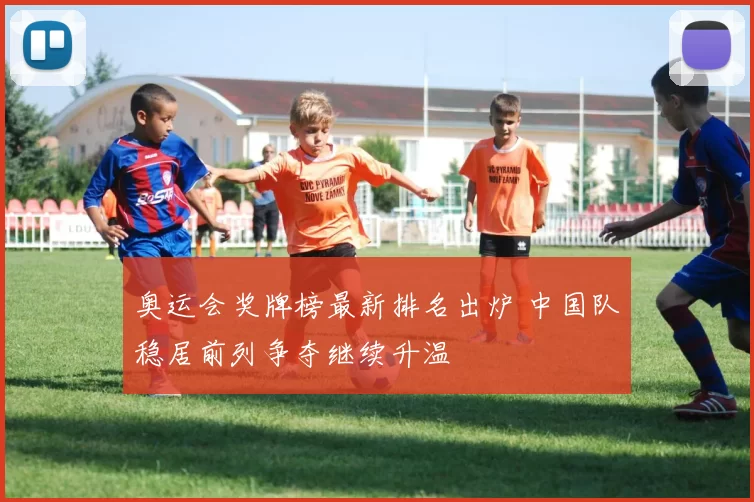 奥运会奖牌榜最新排名出炉 中国队稳居前列争夺继续升温