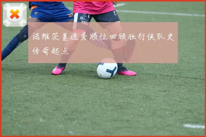 诺维茨基选秀顺位回顾独行侠队史传奇起点