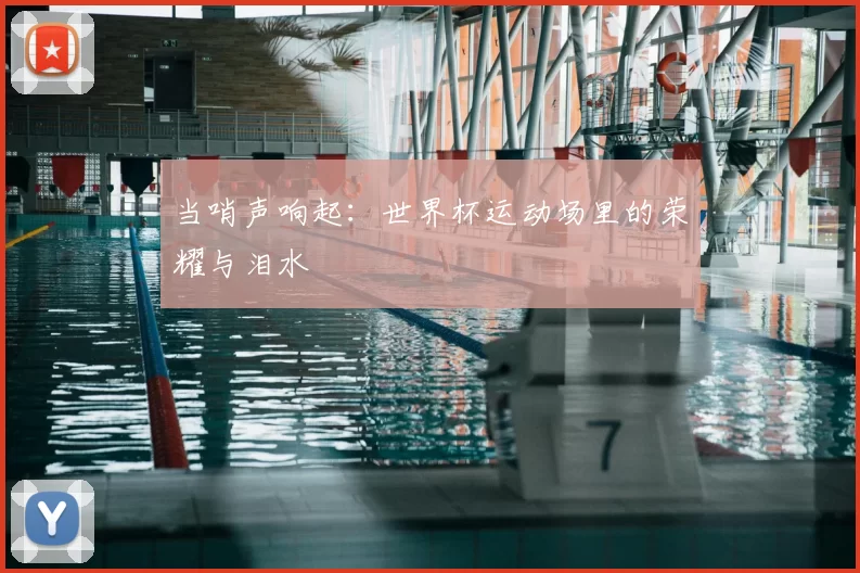 当哨声响起：世界杯运动场里的荣耀与泪水