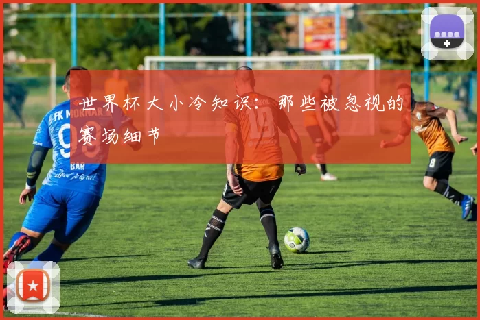 世界杯大小冷知识:那些被忽视的赛场细节