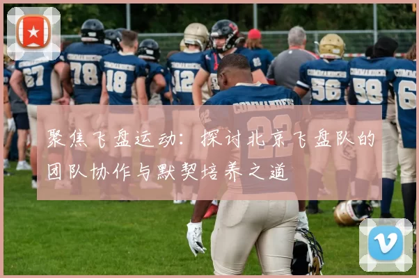 聚焦飞盘运动：探讨北京飞盘队的团队协作与默契培养之道