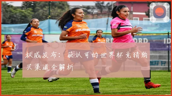 权威发布：获认可的世界杯竞猜购买渠道全解析
