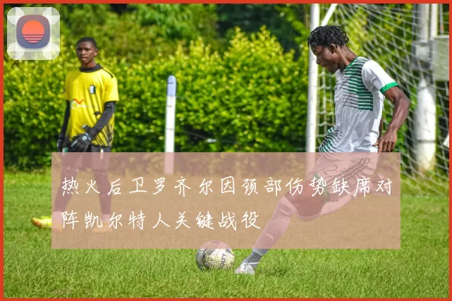 热火后卫罗齐尔因颈部伤势缺席对阵凯尔特人关键战役