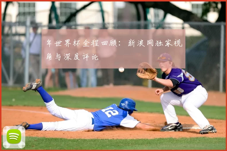 年世界杯全程回顾:新浪网独家视角与深度评论