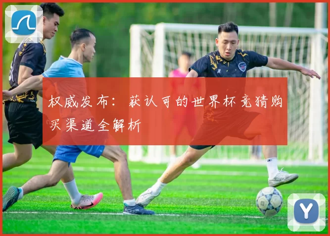 权威发布：获认可的世界杯竞猜购买渠道全解析