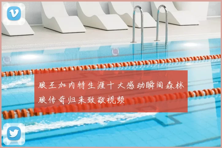 狼王加内特生涯十大感动瞬间森林狼传奇归来致敬视频